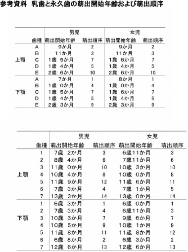 永久歯の生え変わりの時期